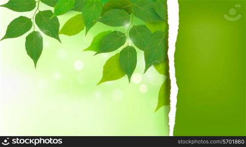 Nature background with fresh green leaves