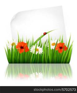 Nature background with grass and a sheet of paper. Vector.