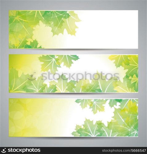 Nature background with green fresh leaves
