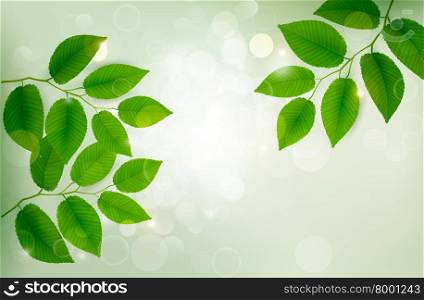Nature background with green fresh leaves . Vector illustration.