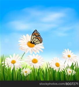Nature background with green grass and butterfly