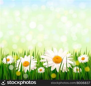 Nature background with green grass and flowers and blue sky. Vector