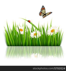 Nature background with green grass and flowers Vector.