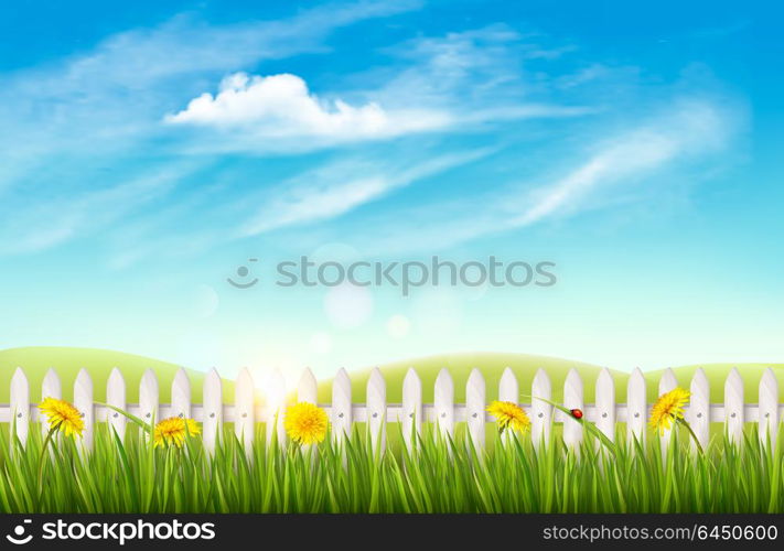 Nature background with green grass and french. Vector.