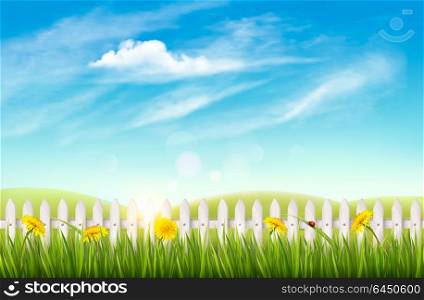 Nature background with green grass and french. Vector.
