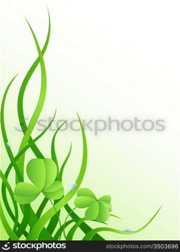 nature background with green grass and leaves of clover