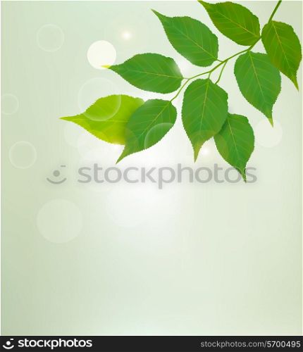 Nature background with green leaves. Vector illustrtion.
