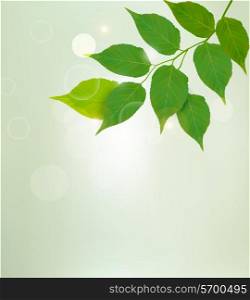 Nature background with green leaves. Vector illustrtion.