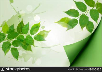 Nature background with green spring leaves. Vector illustration.