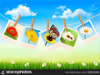 Nature background with photos of flowers and a butterfly. Vector illustration.