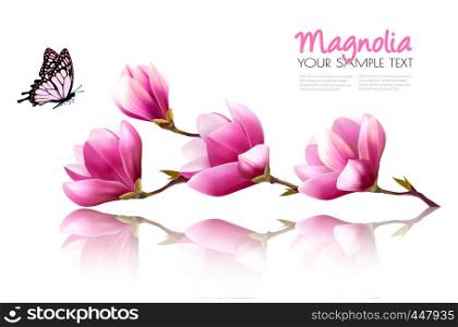 Nature background with pink magnolia and butterfly. Vector.