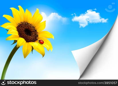 Nature background with yellow sunflower. Vector