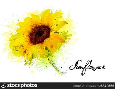 Nature background with yellow sunflower. Vector