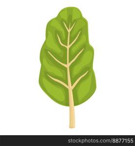 Nature chard icon cartoon vector. Green plant. Garden leaf. Nature chard icon cartoon vector. Green plant