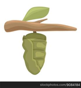 Nature cocoon icon cartoon vector. Natural leaf. Larva life. Nature cocoon icon cartoon vector. Natural leaf