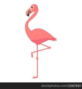 Nature flamingo icon cartoon vector. Pink bird. Cute summer flamingo. Nature flamingo icon cartoon vector. Pink bird