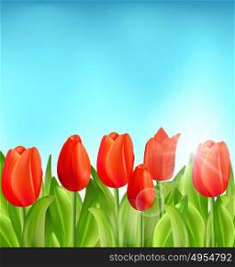 Nature Floral Background with Tulips Flowers. Illustration Nature Floral Background with Tulips Flowers and Blue Sky, Springtime, Summertime, Environment, Beautiful Landscape - Vector