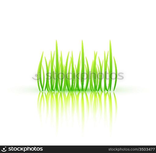 Nature grass concept