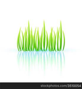 Nature grass concept