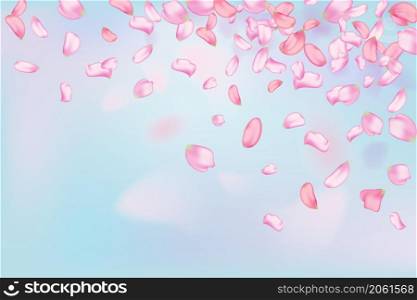 Nature horizontal background.Pink falling sakura petals and flowers.. Pink falling sakura petals and flowers.Nature horizontal background.