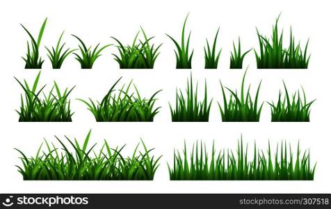 Nature illustrations of green field grass. Vector set isolate on white. Lawn grass green, herb horizontal boarder. Nature illustrations of green field grass. Vector set isolate on white