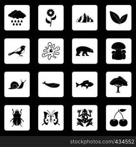 Nature items icons set in white squares on black background simple style vector illustration. Nature items icons set squares vector