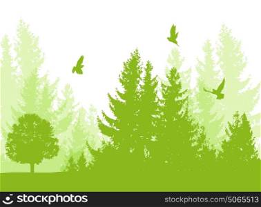 Nature landscape with green firs and birds. Vector floral background.
