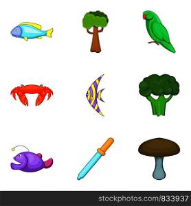 Nature laws icons set. Cartoon set of 9 nature laws vector icons for web isolated on white background. Nature laws icons set, cartoon style