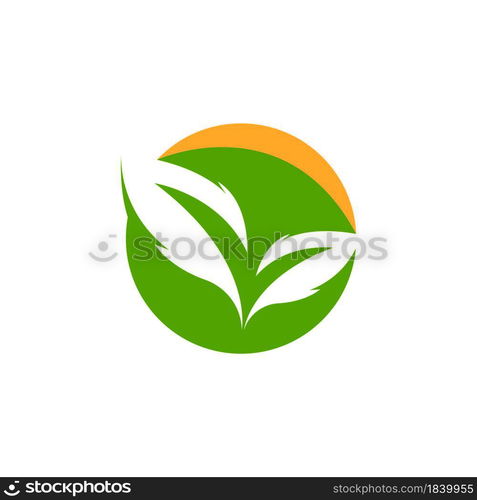 Nature leaf icon and symbol template vector