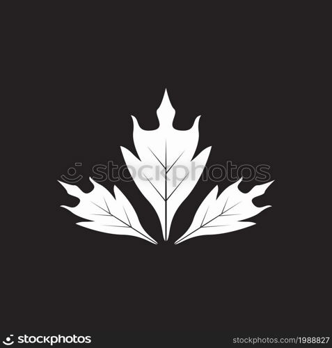 Nature leaf icon and symbol template vector