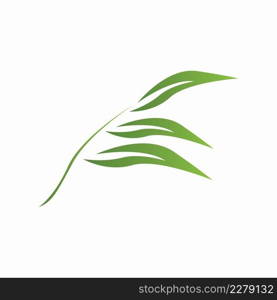 Nature leaf icon and symbol template vector