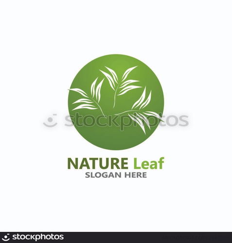 Nature leaf icon and symbol template vector