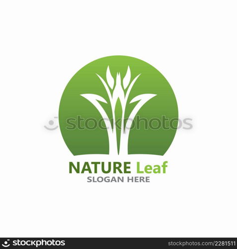 Nature leaf icon and symbol template vector