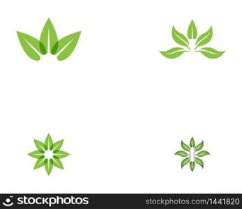 Nature leaf icon vector illustration
