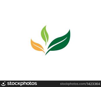 Nature leaf plant logo vector