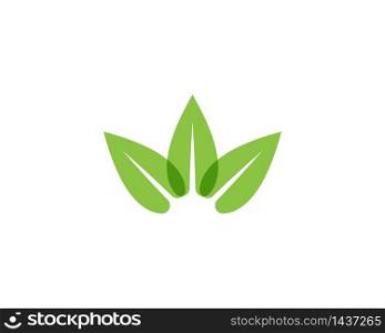 Nature leaf plant logo vector