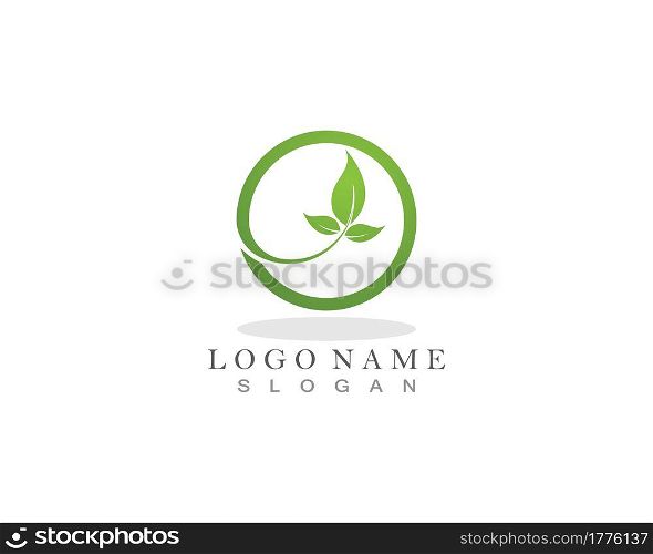 Nature leaf plant vector illustration