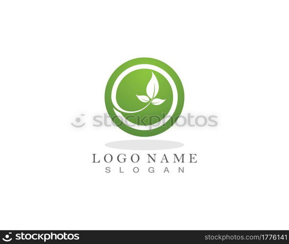 Nature leaf plant vector illustration