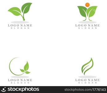 Nature leaf plant vector illustration