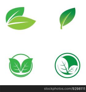 nature leaf simple icon vector illustration template design