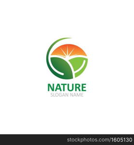 Nature logo Image green tropical leaves illustration design