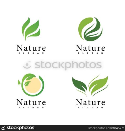 Nature logo vector design template. leaf icon