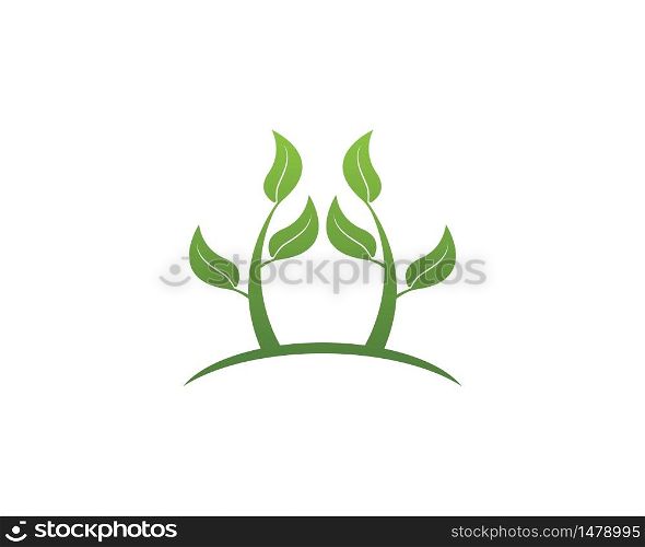 Nature plant icon and symbol vector