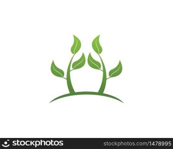 Nature plant icon and symbol vector
