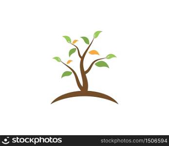 Nature plant icon vector illustration