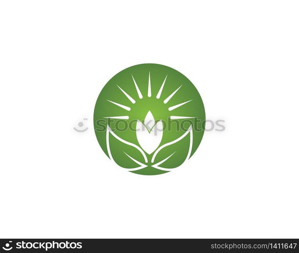 Nature plant leaf icon vector illustration