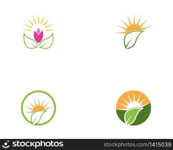 Nature plant leaf icon vector illustration