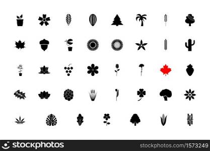Nature plants black color set solid style vector illustration. Nature plants black color set solid style image
