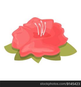 Nature rhododendron icon cartoon vector. Flower plant. Spring garden. Nature rhododendron icon cartoon vector. Flower plant