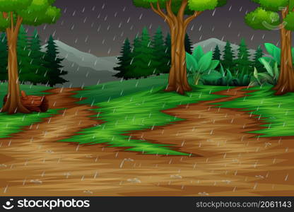 Nature scene with the rain in forest background
